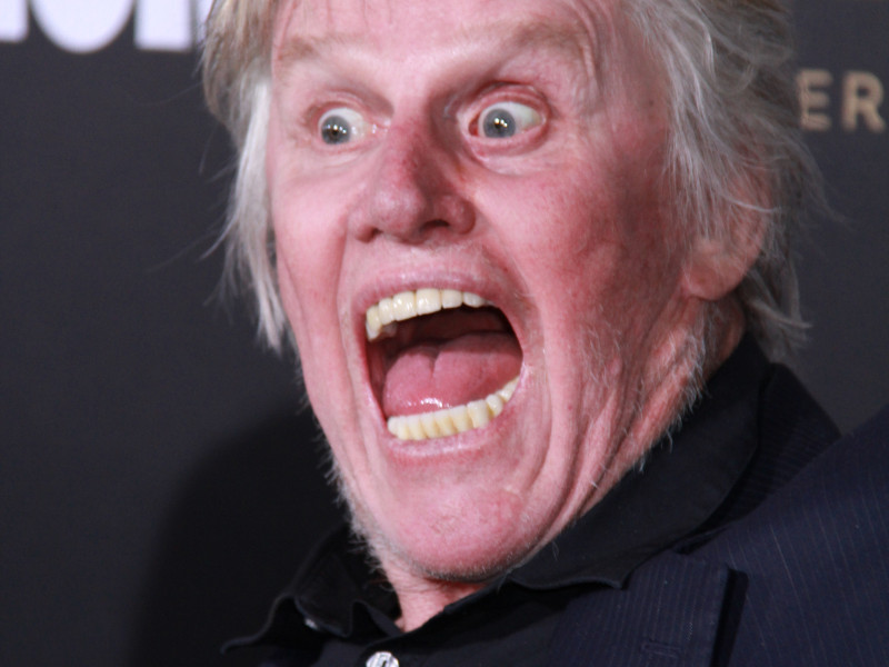 Gary Busey Is Charged With Sex Offenses At New Jersey Film Convention 104 9 Wnfm